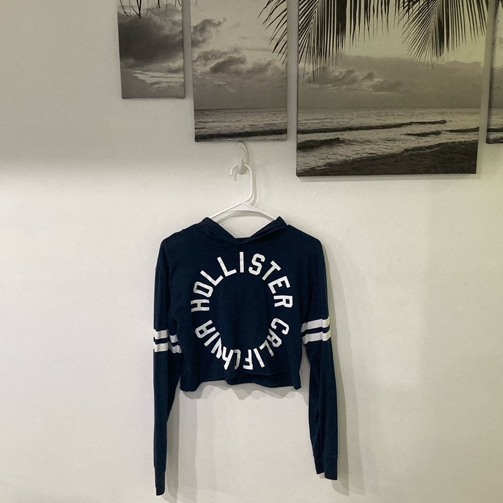Hollister crop hoodie